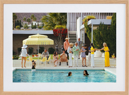 Kaufmann Desert House - 390 x 590, Scandanavian image